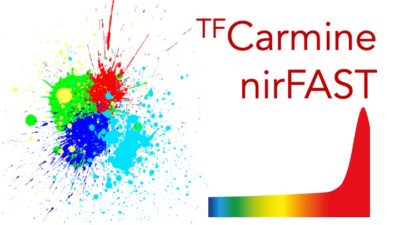 nirFAST and tfCarmine