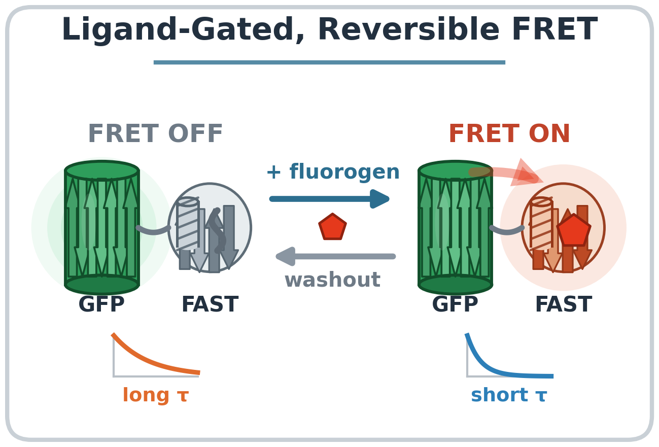 Graphical abstract of ligand-gated, reversible FRET. Without fluorogen the GFP donor has a long lifetime and FRET is off. Adding the fluorogen switches the FAST acceptor on, FRET turns on and the donor lifetime shortens. Washout reverses this.