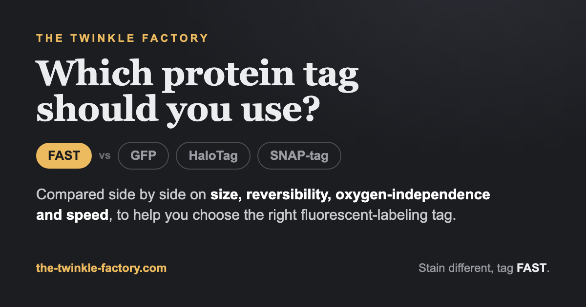 Which protein tag should you use? FAST and splitFAST compared with GFP, HaloTag and SNAP-tag on size, reversibility, oxygen-independence and speed